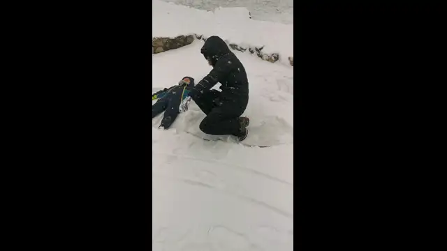 VID_20231130_133110.mp4