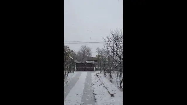 26E05258-3FDD-4333-9D90-56EBB8925F5C.mp4