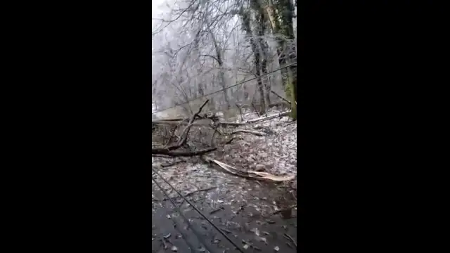 Molnár Boldizsár fotója