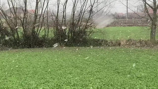 Gyönyörű szép nagypelyhes havazás nem sokkal ezelőtt a Romániai Szamosdaráról