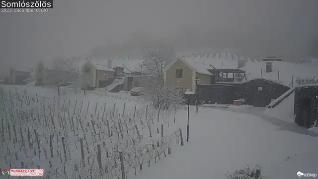 Somlószőlős (hungarylive27) gyorsított felvétele