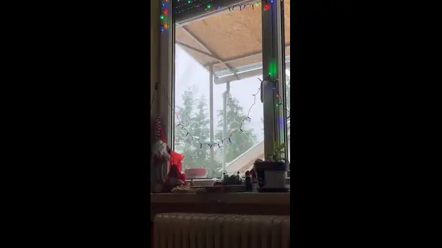 1AC28663-59C5-41D1-A133-D947B2FE50A3.mp4