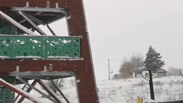 VID20231206133342.mp4