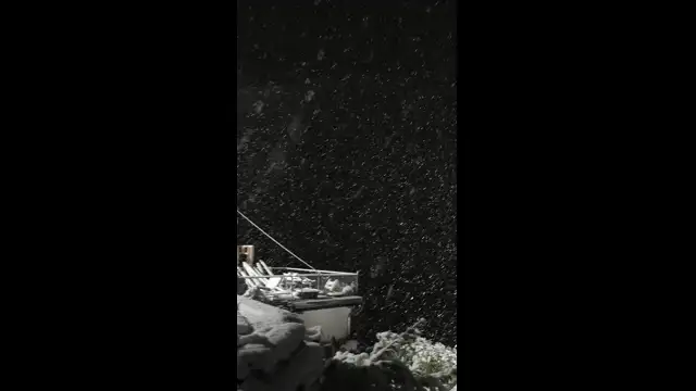 VID_20231207_012136.mp4