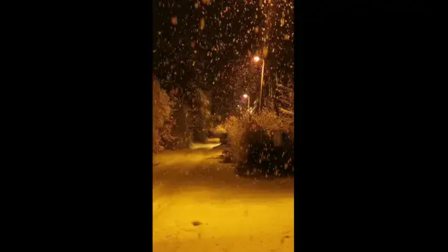 VID_20231207_013226.mp4