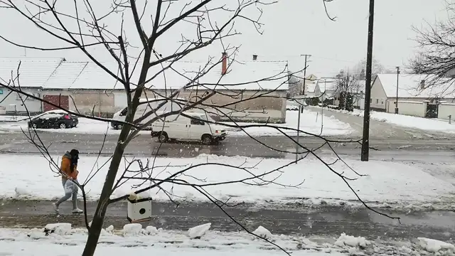 VID_20231207_091227.mp4