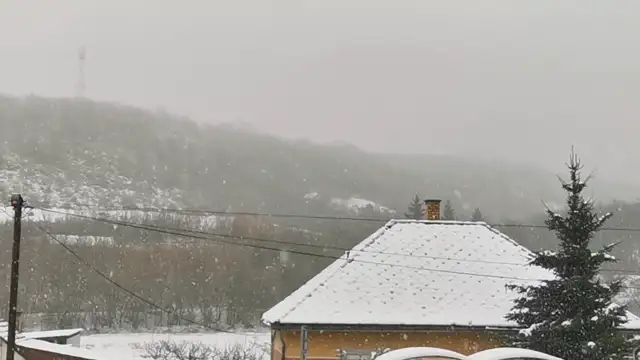 VID_20231207_090820.mp4