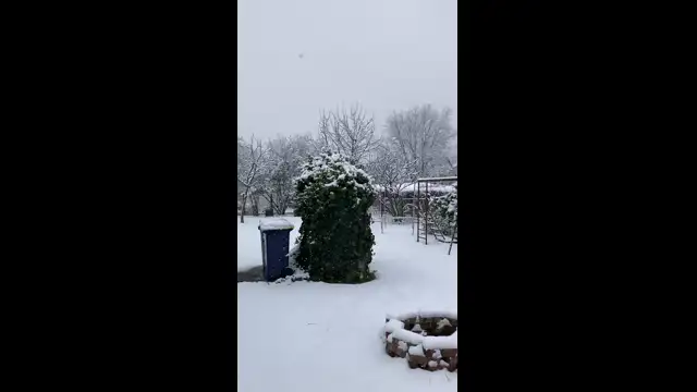 8CB662C4-BB7A-4612-8E5D-310CF604AC69.mp4