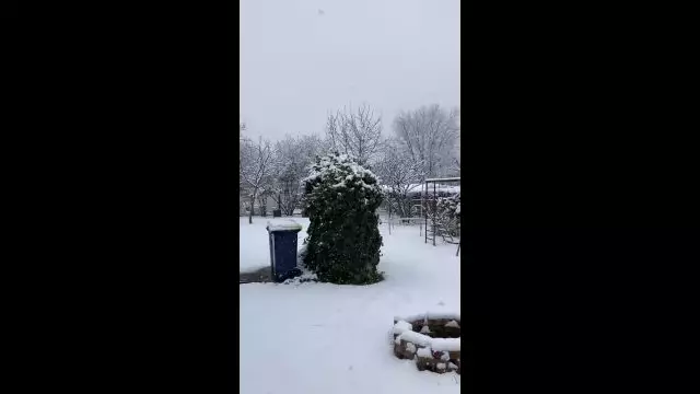 8CB662C4-BB7A-4612-8E5D-310CF604AC69.mp4