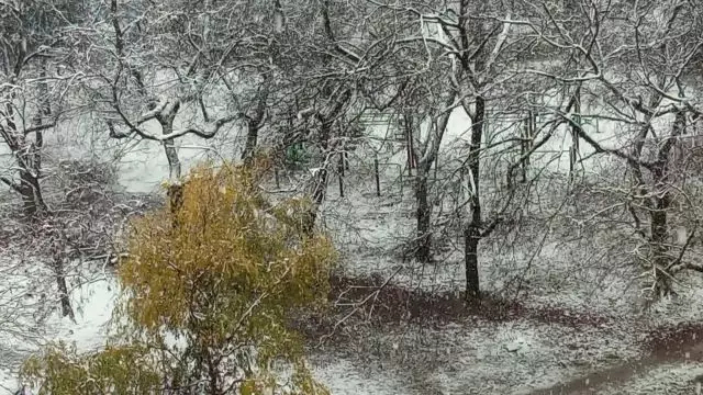 Budapest; Órák óta havazik, de nem gyarapszik, +3⁠ºC