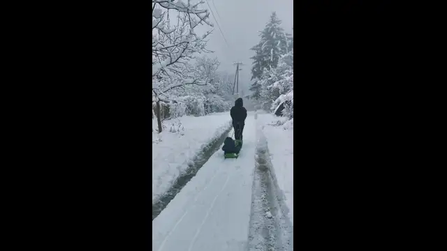 VID_20231207_104414.mp4