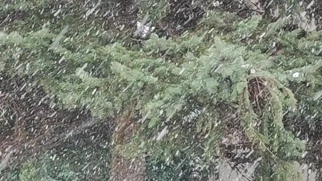 Intenzív havazás Szombathelyen 12.09.