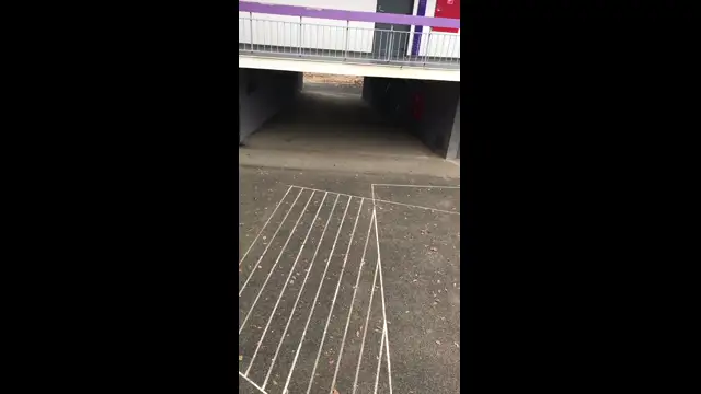 4DB67A9D-9F07-47BD-BD68-5F30C7F08DDA.mp4