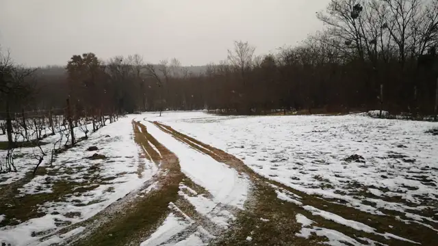 VID_20231209_150712.mp4