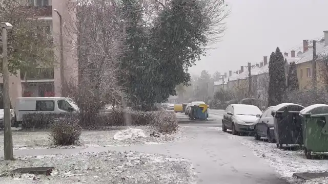 6A53366A-8A73-4433-8C56-349FE819CAAA.mp4