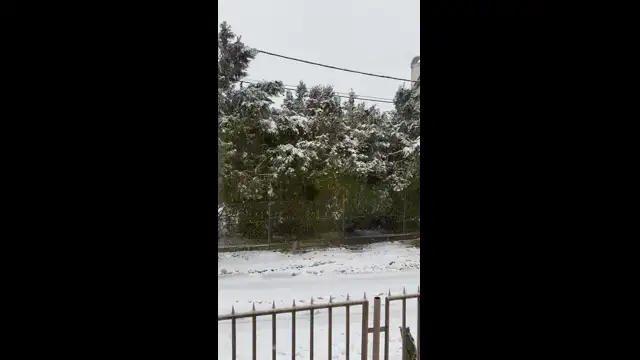 F60526C3-6629-41E0-864C-90944B34E0EA.mp4