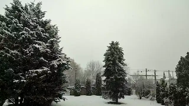 Vasárnap reggeli havazás - lassítva