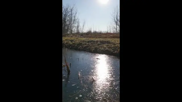 VID_20231216_113543.mp4