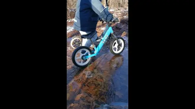 VID_20231216_123217.mp4