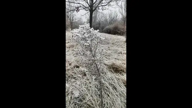 VID_20231219_085551.mp4