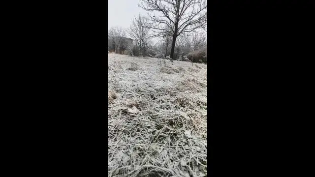 VID_20231219_085515.mp4