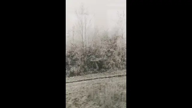 VID_20231220_103131.mp4