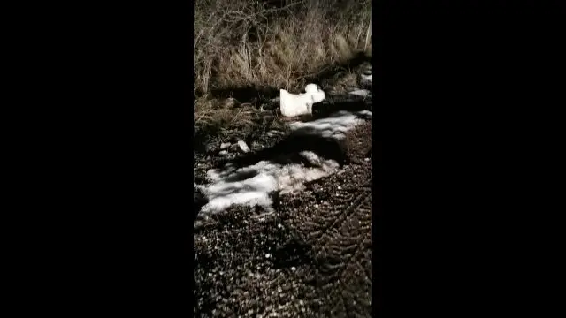 VID_20231220_205401.mp4