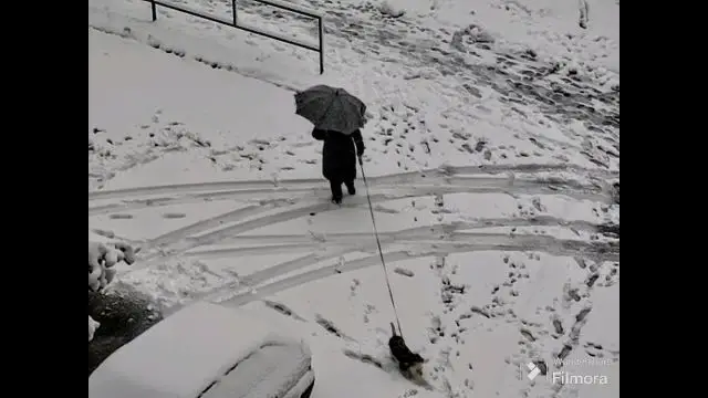 ZALAEGERSZEG Havazás december 06