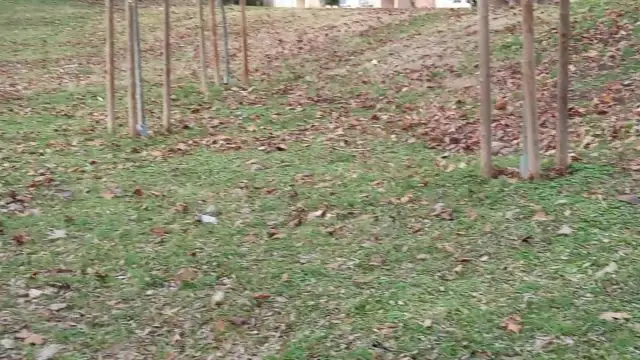 Megrángatta a telefont a kezemben a széllökés