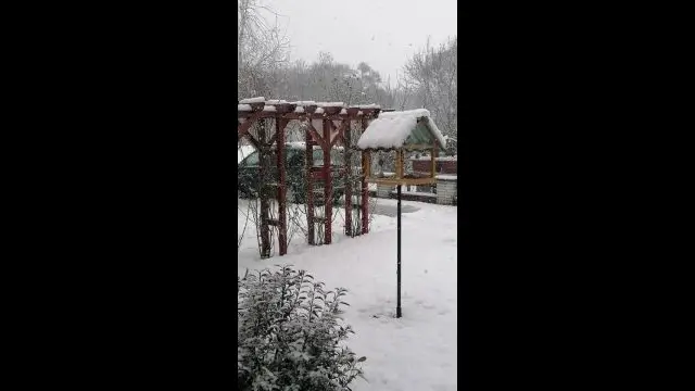 VID_20231223_121738.mp4