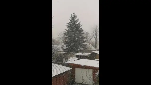 VID_20231223_143407.mp4