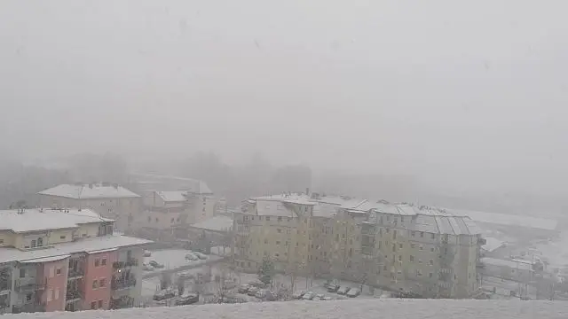 VID_20231223_144248.mp4