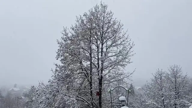 4044C447-D4A0-4859-BF57-2DB04E755D49.mp4