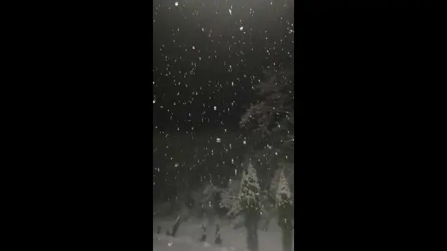 VID_20231207_005743.mp4