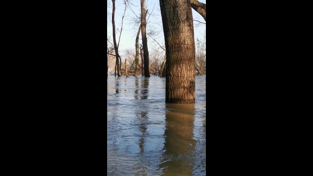 VID_20231228_113230.mp4