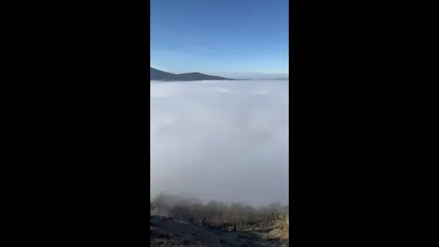 B4D40645-8B3B-45F7-9B25-FF169BCB5413.mp4