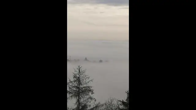 VID_20231230_130437.mp4