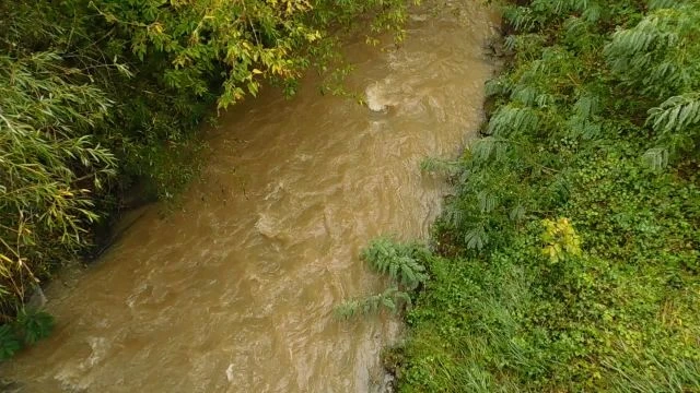 A Tarna patak Feldebrőnél, ismét teljes pompával dolgozik a sok eső hatására.