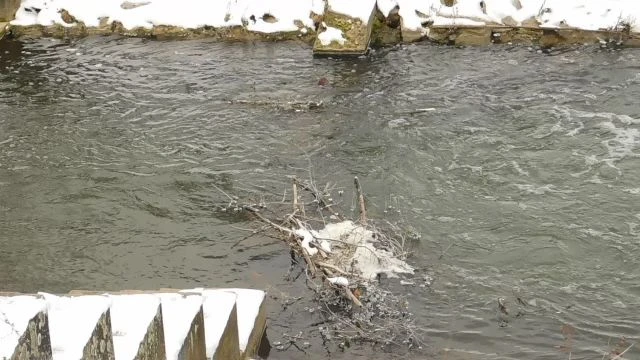 Még nem olvad. Az aldebrői Tarna zuhogó eredeti állapotában továbbítja a vizet.