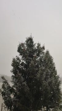 Hull a pelyhes fehér hó🌨️