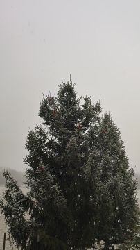 Hull a pelyhes fehér hó🌨️