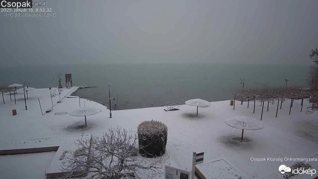 Amit nyáron a strandtörölközők borítanak be