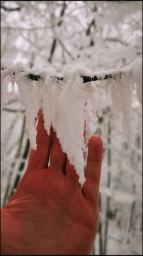 Ki sem látszik zúzmarából a Normafa