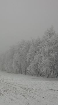 Zúzmarából a napsütésbe
