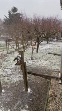 B176AA9F-9A09-4E72-A0D0-180712E49D8E.mp4