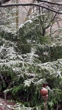 Hull a hó és hózik