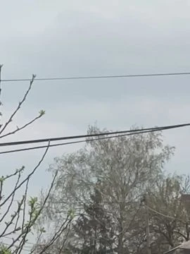 2F6C6FE2-0004-4A5F-BCC6-F5E497647309.mp4