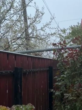 9E1A9888-2279-4500-AE5B-77659EB2752B.mp4