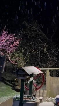 38A8E1A8-E51A-4226-82E1-6A4ADF9D5285.mp4