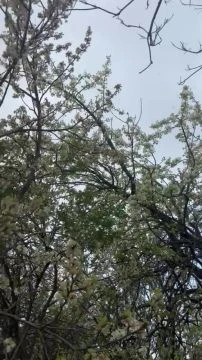 CEE07F07-7BF6-41A3-A9A5-2EA196DD7E67.mp4